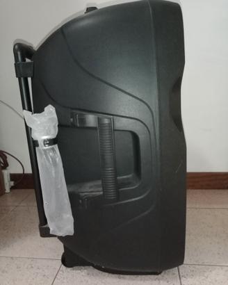 Cassa amplificata trolley
