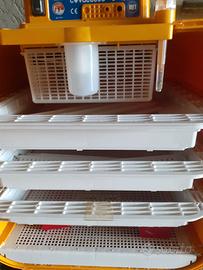 covatutto 162 automatica