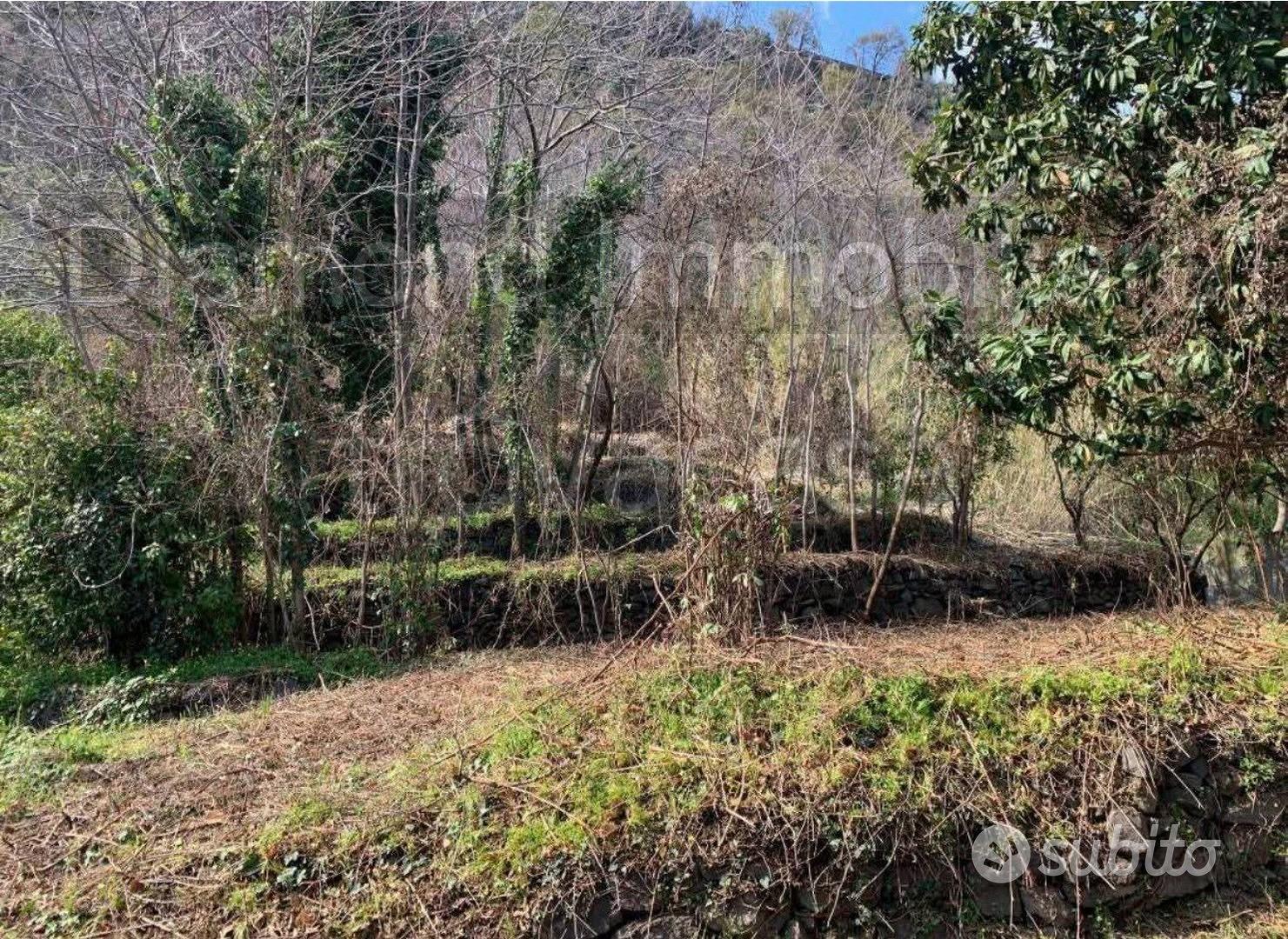 Soluzione singola con terreno a Macchia di Giarre - Vista 4