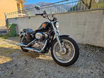 Harley Davidson 883 Low - XL 883L