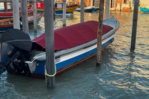 Topa Amadi in vetroresina anno 1997