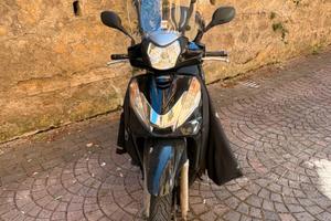 Sh 300i