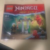 Lego Polybag Ninjago