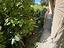 Immagine 16