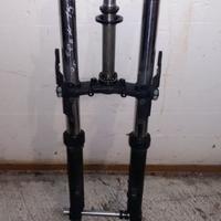 Forcella er6n 2016 abs