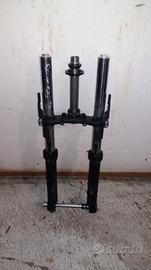 Forcella er6n 2016 abs