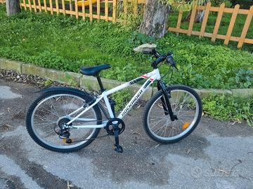 2 MTB da 24 pollici