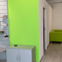 Imbianchino /cartongessista