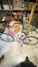 Bicicletta