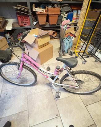 Bicicletta