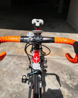 bici da corsa Wilier carbon