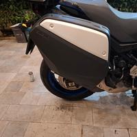 borse moto Suzuki 650 V Strom