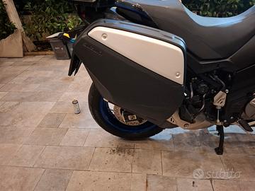 borse moto Suzuki 650 V Strom