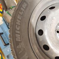 gomme neve