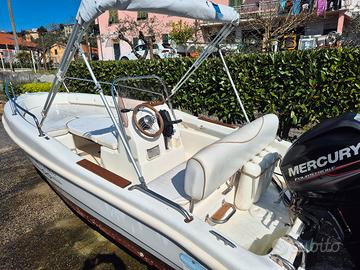 barca open rascala blu e blu Mercury 40cv 