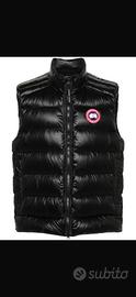Smanicato canada goose 