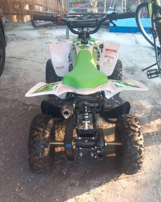 Quad 50