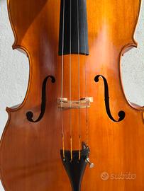 violoncello anonimo  