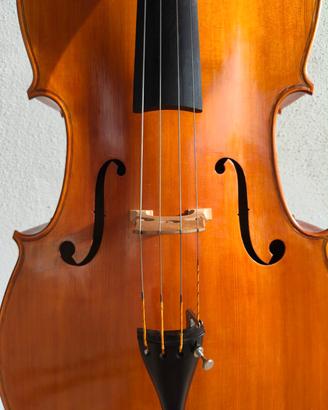 violoncello anonimo  