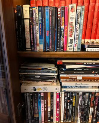 DVD vari - Musicali + Sex and the city