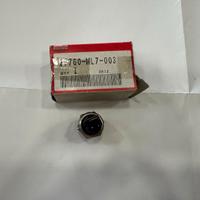 GRUPPO INTERRUTTORE TERMICO HONDA