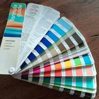 Pantone professionale 