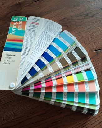 Pantone professionale 