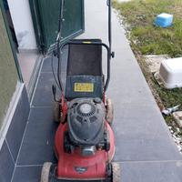 TAGLIA ERBA A MOTORE