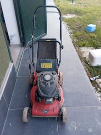 TAGLIA ERBA A MOTORE