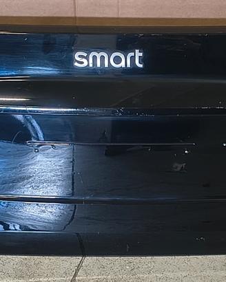 a4517570006 Pannello bagagliaio Smart fortwo 451