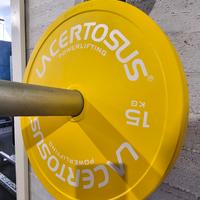 Coppia dischi 15kg Lacertosus