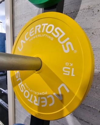 Coppia dischi 15kg Lacertosus