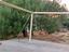 Immagine 12