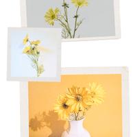 EDG Ramo artificiale di margherita gialla 