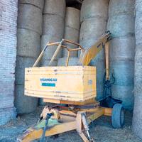 Carica letame ragno