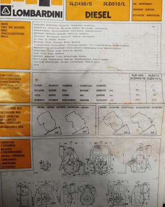 Motocoltivatore MTC 3000 LOMBARDINI SEP
