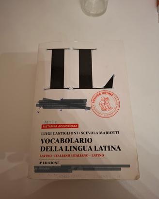 Dizionario 