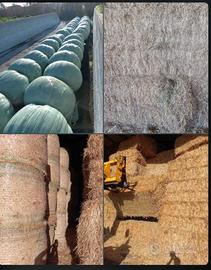 Fieno avena, medica e medica disidratata