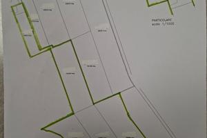 Terreno agricolo e casa