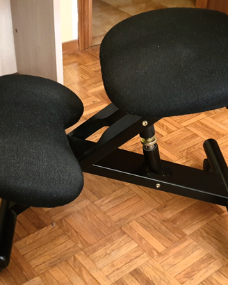 Sedia ergonomica