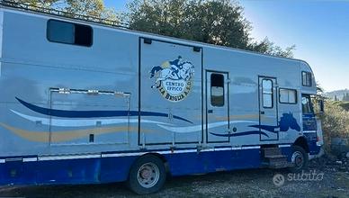 Van cavalli iveco