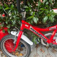 Bicicletta bimbo BMX