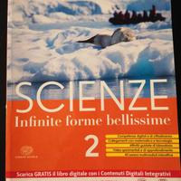 SCIENZE infinite forme bellissime 2
