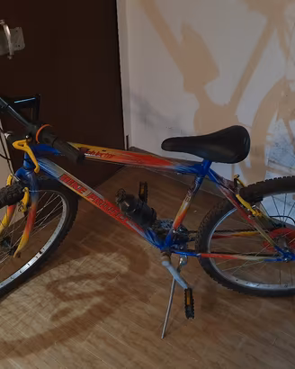 2 Biciclette Montebayke Media & Piccola 