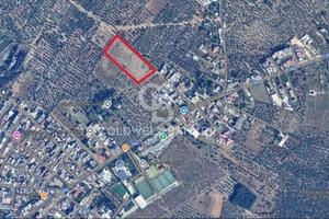 Terreno agricolo - Bitonto