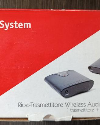 Rice-trasmettitore Wireless audio/video