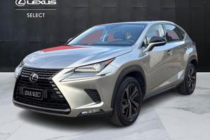 Lexus NX I 2018 300h 2.5 Premium 4wd cvt