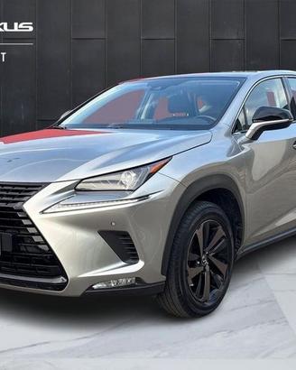 Lexus NX I 2018 300h 2.5 Premium 4wd cvt