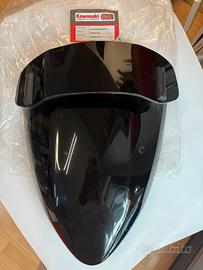 Cupolino Kawasaki Z1000 anno 2004