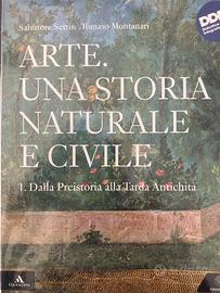 Libro arte una storia naturale e civile